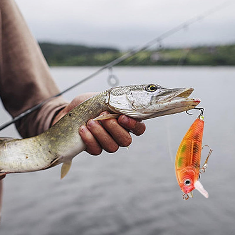 FishFun™ - Dagelijkse visverrassingen voor de ultieme visser